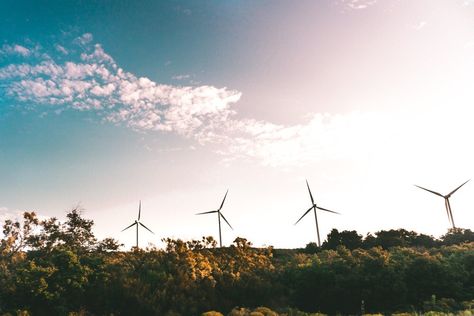 Professor Hester appeared on Houston Matters to discuss a case involving a massive wind power project in the Midwest and how it might impact Houston-based energy projects. Alternative Energie, Alternative Energy Sources, Air Tawar, Energy Power, Solar Technology, Energy Projects, Diy Solar, Energy Use, Sustainable Energy