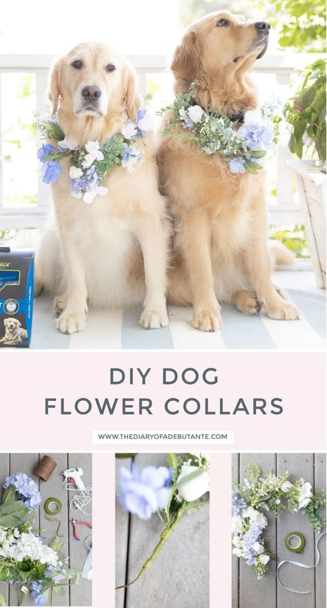 Diy Dog Flower Collar Weddings, Flower Leash Dog Wedding, Diy Flower Collar For Dog, Floral Dog Collar Wedding Diy, Wedding Leash For Dog, How To Make A Flower Collar For Dogs, Dog Bridal Collar, Flowers For Dog Wedding, Flowers For Dogs Wedding