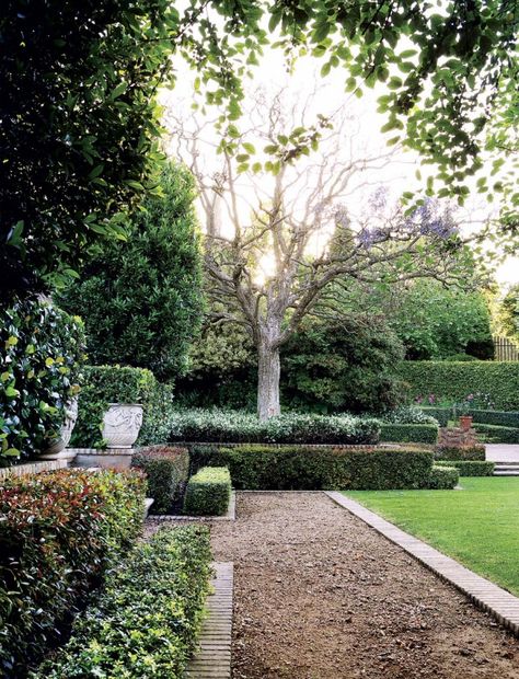 Layered hedges | Lisa Tolkin, Johannesburg Garden Texture, Brick Edging, Garden Hedges, Brick Garden, Mediterranean Garden, Formal Gardens, Garden Path, Love Garden, Garden Pathway