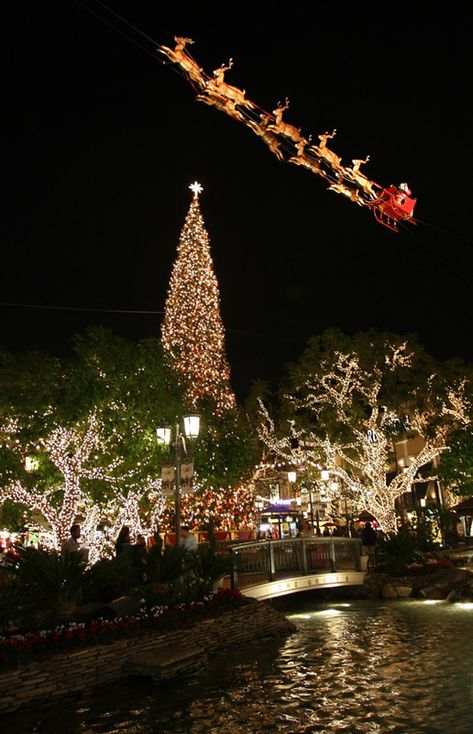 The Grove | Christmas lighting in Los Angeles. | Lee Jing Xi | Flickr Christmas Lights Wallpaper, Outdoor Christmas Diy, Christmas Lights Outside, Christmas House Lights, Christmas Dreaming, Christmas Collage, Creative Christmas Trees, Christmas Lighting, Cosy Christmas