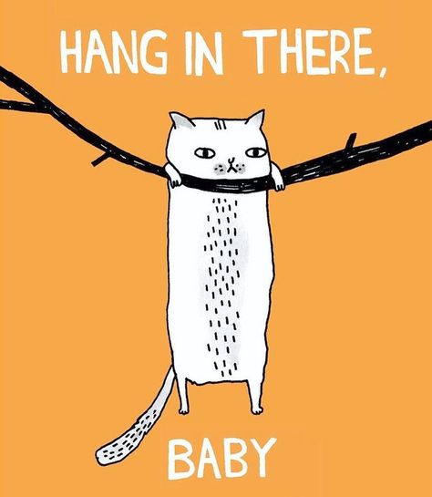 Gemma Correll, Baby Funny, Hang In There, Funny Illustration, Cats Illustration, Trendy Baby, Cat Illustration, Cat Drawing, Crazy Cat Lady