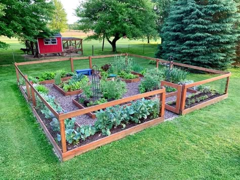 Fenced Garden Ideas Raised Beds, Garden Beds With Fence, Fenced Veggie Garden, Enclosed Garden With Raised Beds, Raised Bed Garden Layout Backyards, Fenced Backyard Garden, Raised Beds With Fence, Fence Around Garden Diy, Gated Vegetable Garden