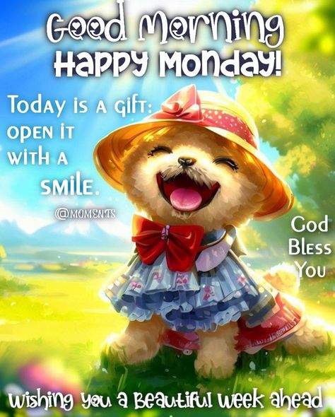 Today Is A Gift, Open It With A Smile. Good Morning, Happy Monday! Pictures, Photos, and Images for Facebook, Tumblr, Pinterest, and Twitter Smile Good Morning, Monday Morning Greetings, Pin Quotes, Happy Monday Images, April Quotes, Good Morning Animals, Saturday Blessings, Burlap Cross, Today Is A Gift