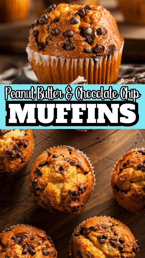 Peanut butter and chocolate chips are quintessential ingredients that define the taste of these muffins. With a soft, fluffy texture and crunchy chocolate chips interspersed, our Peanut Butter Muffins with Chocolate Chips are the epitome of a sweet treat that packs an irresistible punch. Make these muffins for an easy breakfast recipe on the go! Healthy Peanut Butter Chocolate Chip Muffins, Peanut Butter Muffins Recipes, Peanut Butter Chocolate Chip Muffins, Chocolate Chips Recipe, Homeschool Meals, Chocolate Peanut Butter Muffins, Chocolate Chip Muffins Recipe, Muffins With Chocolate Chips, Peanut Butter Oatmeal Chocolate Chip