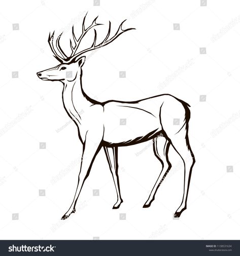 Deer Side View, Side View Drawing, View Drawing, Monogram Art, Animal Reference, Drawing Vector, Illustration Logo, Ad Logo, House Drawing