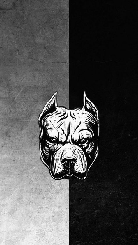 Black And White Pitbull, Pitbull Wallpaper, Pitbull Images, Art Iphone Wallpaper, Pitbull Drawing, Dog Wallpaper Iphone, Kartu Tarot, White Pitbull, Pitbull Art