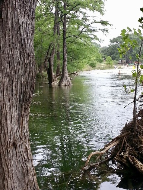 Frío River in Gardner State Park. Concan, Texas. Inks Lake State Park Texas, Texas Forest, Gardner State Park Texas, Comal River Texas, Garner State Park, South Llano River State Park, Cute Spanish Quotes, Texas, State Parks