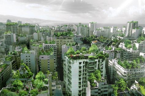 Wonder Forest, Vertical Forest, Hanging Gardens, Eco City, Forest Plants, Areas Verdes, Green City, Rooftop Garden, Hanging Garden