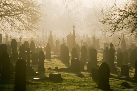 The Oldest Cemetery in Every State | Reader's Digest Vampire Legends, Graveyard Book, Graveyard Girl, Old Cemetery, Grave Of The Fireflies, American Cemetery, Old Cemeteries, National Cemetery, Music Artwork