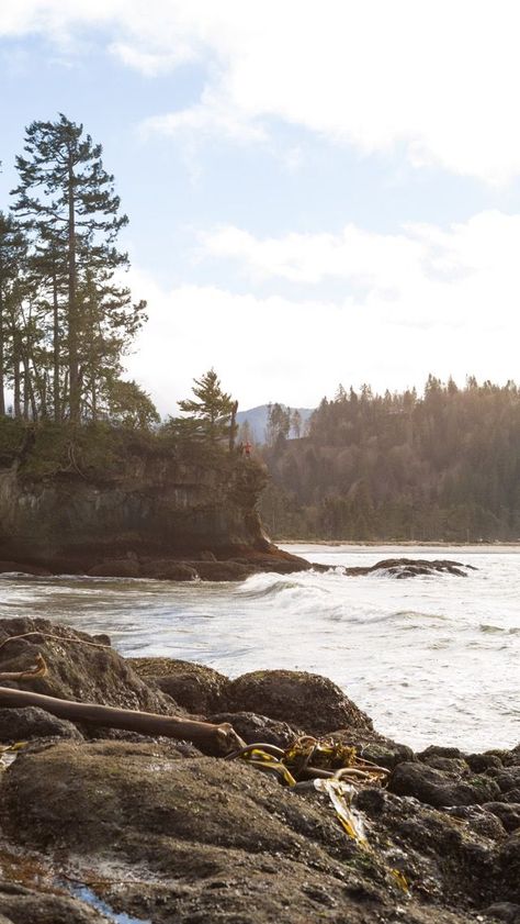 Puget Sound Aesthetic, Pnw Summer, Pnw Beach, Puget Sound Washington, Washington Nature, Pictures Of Beautiful Places, Vision Bored, Planner Covers, Us Travel Destinations