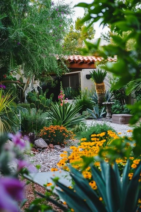 Las Vegas Small Backyard Landscaping Gems Unveiled Spanish Backyard Landscaping, Small Backyard Desert Landscaping, Colorful Desert Landscaping, Az Backyard Ideas, Desert Backyard Ideas, Desert Backyard Landscaping, Arizona Gardens, Spanish Backyard, Desert Landscaping Backyard