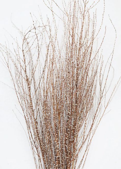 Natural Hoary Willow Branches | Dried Branches at Afloral.com Beige Iphone Wallpaper, Indian Paintbrush Flowers, Manzanita Tree, Natural Branches, Easter 2021, Looks To Recreate, Artificial Plants Outdoor, Entry Decor, Willow Branches