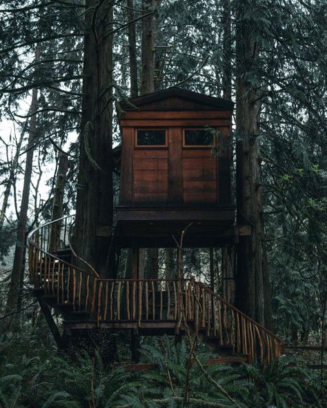 Grace Upon Grace Treehouse Point, Cabin In The Woods, Cabin Life, Outdoor Wood, Cabins In The Woods, House In The Woods, A Tree, Tree House, Rustic House