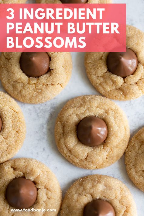 peanut butter blossoms from above Blossom Cookies Recipe, Peanut Butter Hershey Kiss Cookies, Christmas Dinner Desserts, Peanut Butter Blossoms Recipe, Chocolate Kiss Cookies, Peanut Butter Blossom, Peanut Butter Kiss, The Chunky Chef, Making Peanut Butter