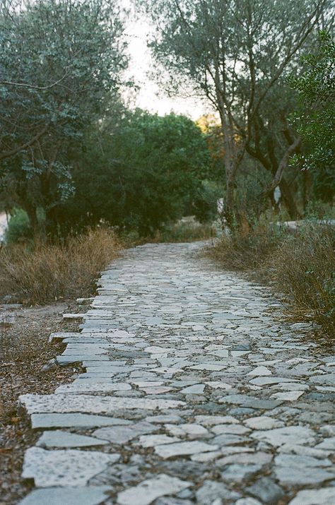 Stone Road, The Acropolis, Landscape Design Plans, Stone Path, Plant Combinations, Acropolis, Archaeological Site, Journal Writing, Small Garden