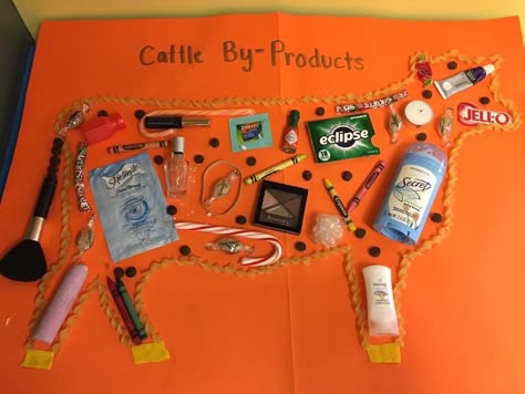 Ag Literacy Activities, 4h Beef Poster Ideas, Animal Science Lessons High School, Beef Poster Ideas 4-h, 4h Beef Project Ideas, Agriculture Lessons For Kids, Elementary Agriculture Activities, High School Ag Classroom, 4h Demonstration Ideas Kids