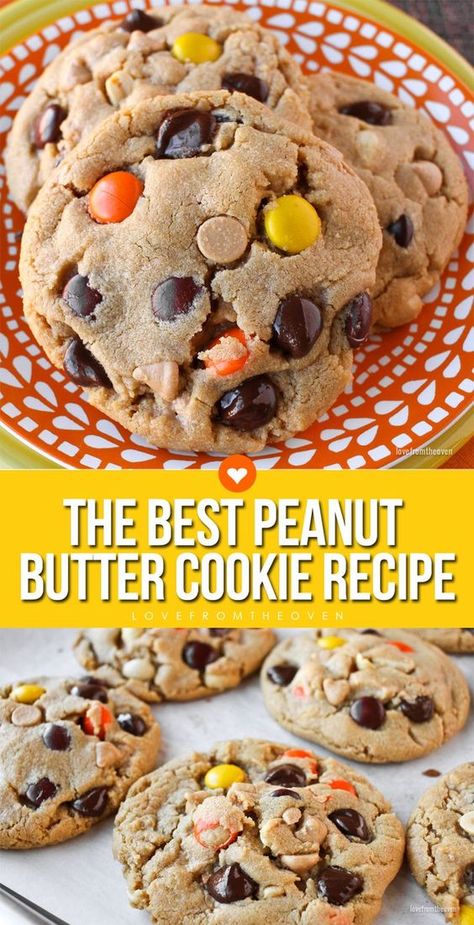 This might be the BEST Peanut Butter Cookie Recipe you'll ever try! These peanut butter lovers cookies are amazing! Best Peanut Butter Cookie Recipe, The Best Peanut Butter Cookies, Butter Cookie Recipe, Best Peanut Butter Cookies, Best Cookies Ever, Butter Recipes, Peanut Butter Cookie, Best Peanut Butter, Chocolate Cookie Recipes