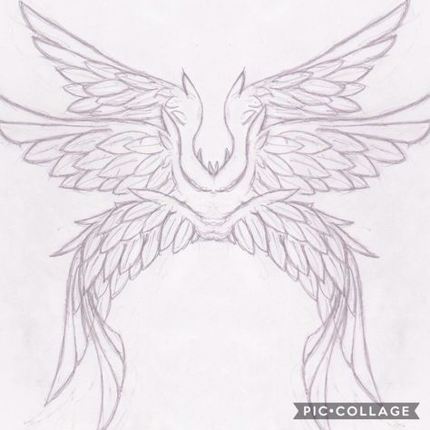 Wing Reference Drawing Angel, Double Wings Drawing, 3 Pairs Of Wings Drawing, Wing Structure Drawing, Wing Refrences Drawings, Huge Wings Drawing, Seraphim Wings Drawing, Angel Body Drawing, Angelic Wings Drawing