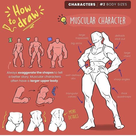 Draw Different Body Types, Anatomy Illustration, Different Body Types, Anatomy Tutorial, Art Advice, Human Anatomy Drawing, Human Anatomy Art, Anatomy Sketches, Body Reference Drawing