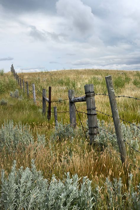 Prairie Aesthetic, Rural Photography, 3d Environment, Old Fences, Rural Landscape, Rural Life, Quebec Canada, Africa Travel, Winter Landscape