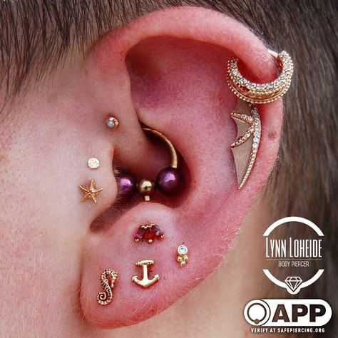 Body Gems, Anti Tragus Piercing, Anti Tragus, Tragus Piercing Jewelry, Ear Style, Ear Party, Tragus Piercing, Some Body, Bat Wing