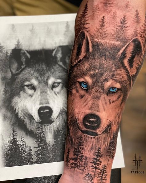 Grey Wolf Tattoo, Wolf Girl Tattoos, Wolf Tattoo Forearm, Athena Tattoo, Black And Grey Tattoos For Men, Wolf Tattoos Men, Nature Tattoo Sleeve, Lion Tattoo Sleeves, Wolf Tattoo Sleeve