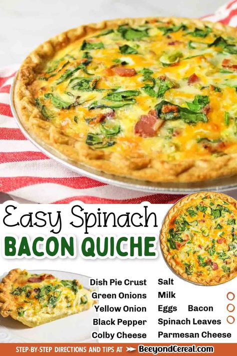 Breakfast is made easy with this spinach and bacon quiche recipe. Once you know how to make a quiche, you'll never look at breakfast the same way again. This recipe is so simple and easy, cheesy and delicious! Everyone will love breakfast, brunch, or even diner (depending on when you want to serve it). How To Make A Quiche, Vegetable Quiche Recipes Easy, Bacon Quiche Recipes, Easy Quiche Recipes, Spinach And Bacon Quiche, Spinach Bacon Quiche, Veggie Quiche Recipes, Quiche Bacon, Basic Quiche Recipe