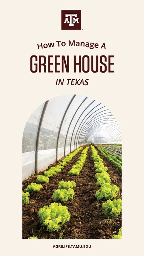 Texas Greenhouse, House In Texas, Texas Gardening, Greenhouse Plants, Greenhouse Growing, Texas A M University, Greenhouse Gardening, Texas Homes, Green House