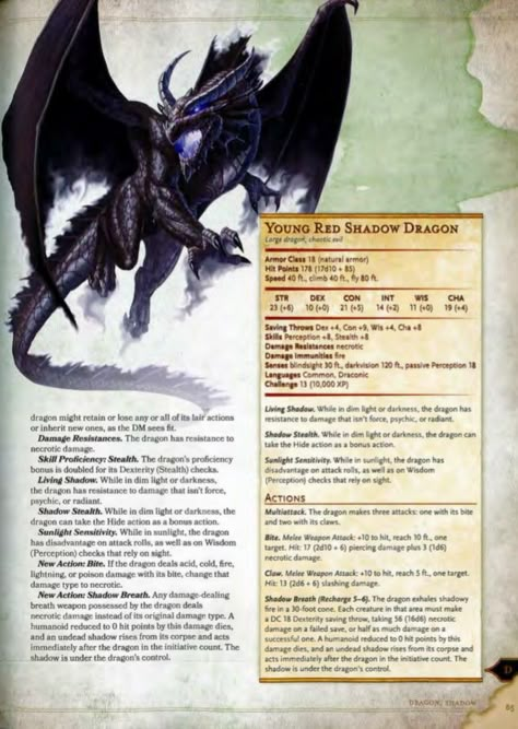 D&D Shadow Dragon Dragon Template, Tiamat Dragon, Rpg Creatures, Dnd Stats, Shadow Monster, Dnd Monster, Dnd Creatures, Monster Manual, Dnd Stories