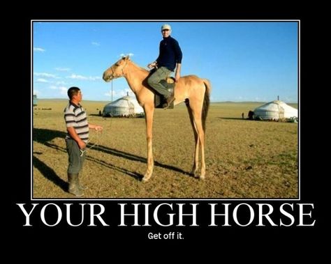 perfect Horse Puns, Horse Meme, Horse Jokes, Teen Witch, High Horse, Funny Horses, Random Images, Geek Girls, Funny Puns