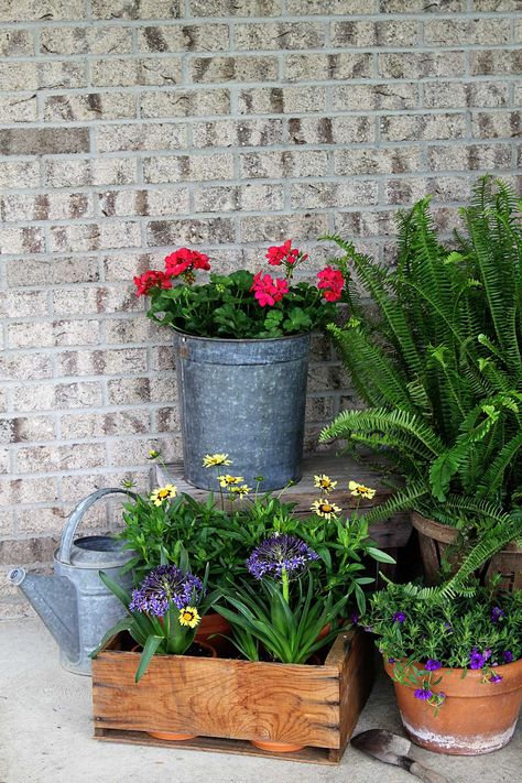 Using creative garden containers for your porch this summer is a great way to shake it up. Ditch the urns - use repurposed, rustic and thrifted planters. Garden Container Ideas, Rustic Front Porch, Outdoor Buffet, Front Porch Planters, Galvanized Planters, Pink Geranium, Garden Container, Porch Sitting, Porch Planters