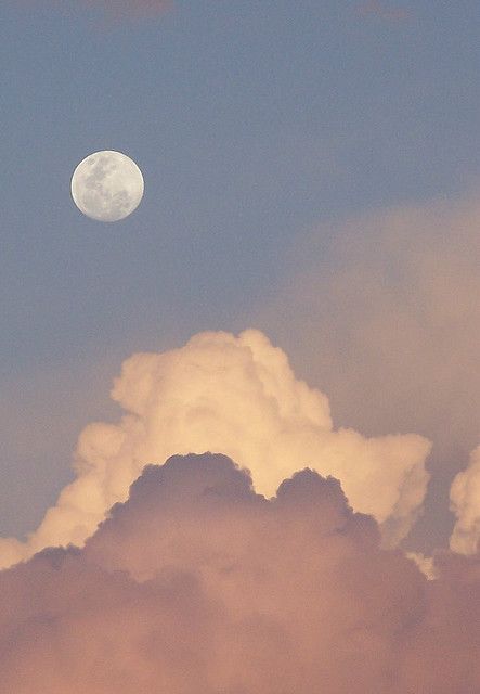 Tickled Pink Moon - taken in 2005, in Western Australia. Image Zen, Pink Moon, Pretty Sky, To The Moon And Back, Sky And Clouds, Beautiful Sky, Sky Aesthetic, To The Moon, Lead Generation