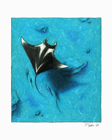 Prints and originals are available! Also, currently open for commissions. #illustrator #oceanartist #oceanlife #seaart #divinglife #oceanlifestyle #marinelife Ray Fish Drawing, Manta Ray Painting, Stingray Painting, Manta Ray Drawing, Ray Drawing, Manta Ray Art, Freedom Artwork, Ocean Drawing, Instagram Prints