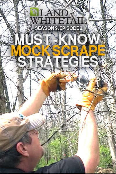 Mock scrapes don’t solve all the problems when it comes to deer hunting, but they can make a difference. Land of Whitetail. Season 9. Episode 8. Whitetail Hunting, Whitetail Deer Hunting, Deer Hunting Tips, Deer Hunting Gear, Deer Camp, Hunting Stuff, Hunting Tips, Archery Hunting, Bow Hunting