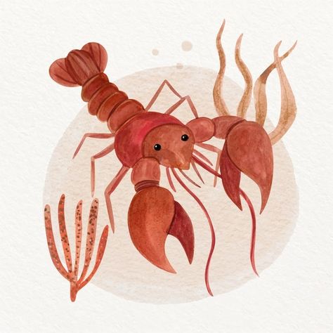 Free Vector | Watercolor crawfish illustration Crayfish Drawing, Crawfish Illustration, Watercolor Crawfish, Illustration Children, Illustration Cute, Senior Project, Graphic Resources, Vector Free, How To Draw Hands