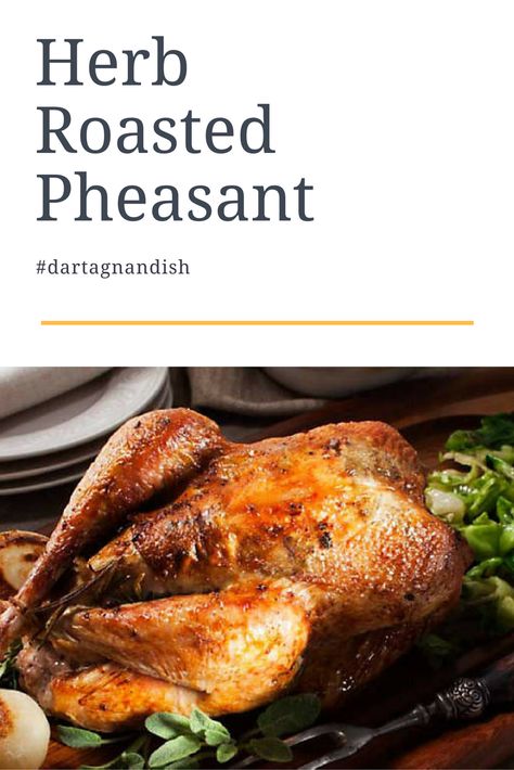 Pheasant Recipes Easy, Roast Pheasant Recipes, Best Pheasant Recipes, Baked Pheasant Recipes, Whole Pheasant Recipes, Pheasant Recipes Baked, Roasted Pheasant Recipes, Oven Roasted Pheasant Recipes, Cooking Pheasant Whole