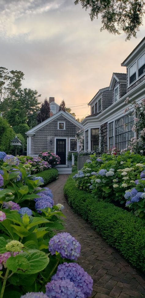 Beauriful Sunset and Hydrangeas 🌸 Hydrangea House, Nantucket Island, Summer Night, Nantucket, Summer Nights, Future House, Hydrangea, Boston, House Styles