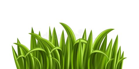 Fresh grass. Isolated on white background , #affiliate, #grass, #Fresh, #Isolated, #background, #white #ad Grass Printable, Printable Templates, Background White, Background Illustration, Food Illustrations, Template Printable, Stock Illustration, White Background, Stock Vector