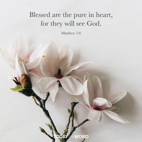 Matthew 5:8 Wallpaper, Mathew 5:8, Blessed Are The Pure In Heart, Forgiveness Bible, Matthew Verses, Bible Verses About Forgiveness, Matthew Bible, Bible Project, Favorite Verses