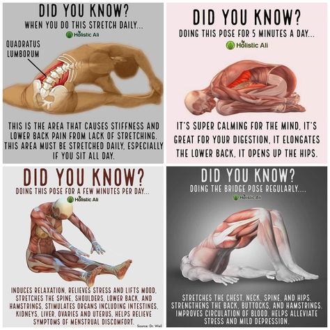 Stretching benefits Stretching Benefits, Yoga Facts, Lower Back Pain Exercises, Yoga For Back Pain, Daily Yoga Workout, Health And Fitness Articles, Relaxing Yoga, Easy Yoga Workouts, Back Pain Exercises