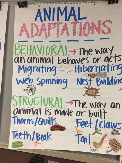 Animal Adaptations Anchor Chart Animal Adaptations Anchor Chart, Adaptations Anchor Chart, Grade 2 Science, Fourth Grade Science, Science Anchor Charts, 7th Grade Science, Animal Adaptations, 1st Grade Science, First Grade Science