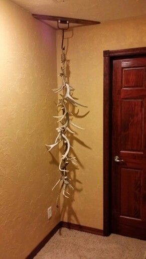 Antler Shed Display Ideas, How To Display Deer Antlers, Shed Antler Display Ideas, Deer Shed Ideas, Deer Antler Display, Antler Display Ideas, Deer Horn Ideas, Man Cave Bar Diy, Deer Skull Decor