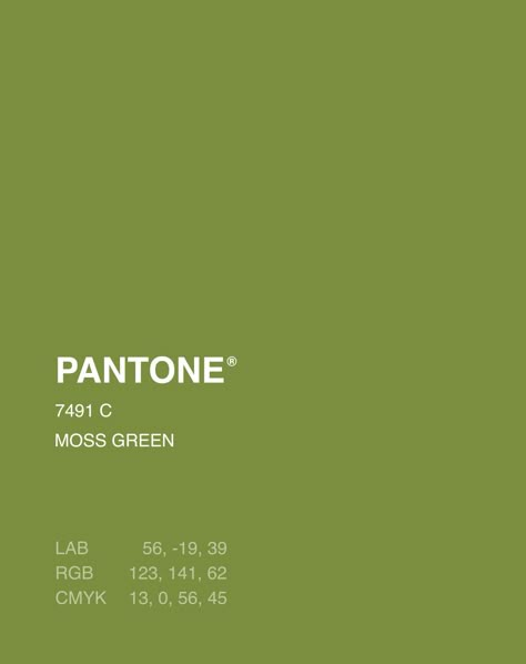 Moss Green Pantone, Pantone Palette, Soft Autumn, Moss Green, Cafe Design, Pantone Color, Color Palette, Green, Color