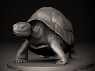 Eoin Cannon's Sketchbook: Galpagos Giant Tortoise WIP #1 Galapagos Tortoise, Turtle Sculpture, Giant Tortoise, Digital Sculpture, Tortoise Turtle, Ceramic Animals, Sculpture Clay, 3d Characters, Animal Sculptures