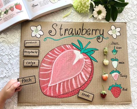 Katie 👦🏻👦🏻and Kirsty 👧🏻 on Instagram: “🍓S T R A W B E R R Y🍓 We are dreaming of summer days and going strawberry picking again 🙌🏻 This week my little guys have been playing with…” Boys Look, Cardboard Creations, Learning Board, Strawberry Picking, Garden Watering, Homeschool Learning, Learn Crafts, Homeschool Science, My Boys