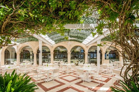 Hyatt Zilara Cap Cana Wedding, Punta Cana Wedding Venues, Sanctuary Cap Cana, Jamaican Wedding, Colonial Garden, Patio Wedding, Question To Ask, Punta Cana Wedding, Wedding Dr