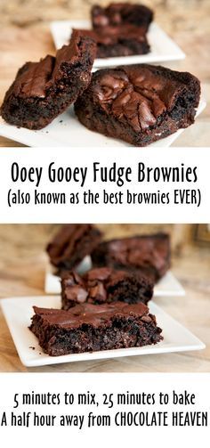 One Egg Dessert Recipes, Sour Cream Brownies Recipes, Brownie Recipes Gooey, Ooey Gooey Brownies, Gooey Brownies Recipe, Brownies Gooey, The Best Brownies Ever, Best Brownies Ever, Best Recipes Ever