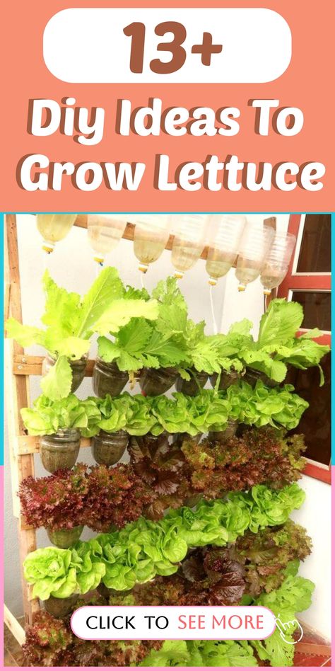 Transform your space into a lettuce paradise with these innovative DIY ideas for growing lettuce right at home. 🥗 Explore vertical lettuce towers, hanging lettuce gardens, or even windowsill planters for a continuous supply of fresh greens. 🌿 Get hands-on with nature and experience the joy of cultivating your own lettuce from seed to plate. #DIYLettuceGarden #UrbanGardening #HealthyLiving Mini Rock Garden, Growing Lettuce Indoors, Planting Lettuce, Grow Lettuce, Fall Landscaping, Mailbox Landscaping, Growing Sweet Potatoes, Indoor Vegetables, Easy Diy Ideas