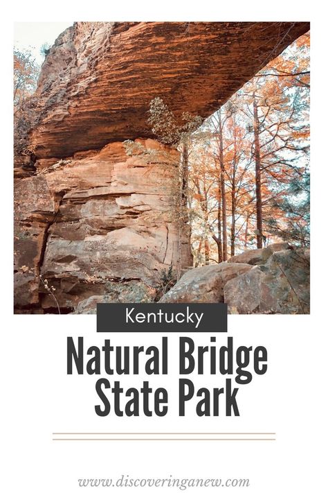 Travel to the Eastern side of the state to Slade, Kentucky to Daniel Boone National Forest, only an hour from Lexington. Here you will find a true gem, Natural Bridge State Park, known for its sandstone arches and beautiful hiking trails. Natural Bridge Kentucky, Couples Weekend Getaway, Kentucky Vacation, Daniel Boone National Forest, Weekend Getaways For Couples, Kentucky Travel, Couples Weekend, Red River Gorge, Daniel Boone