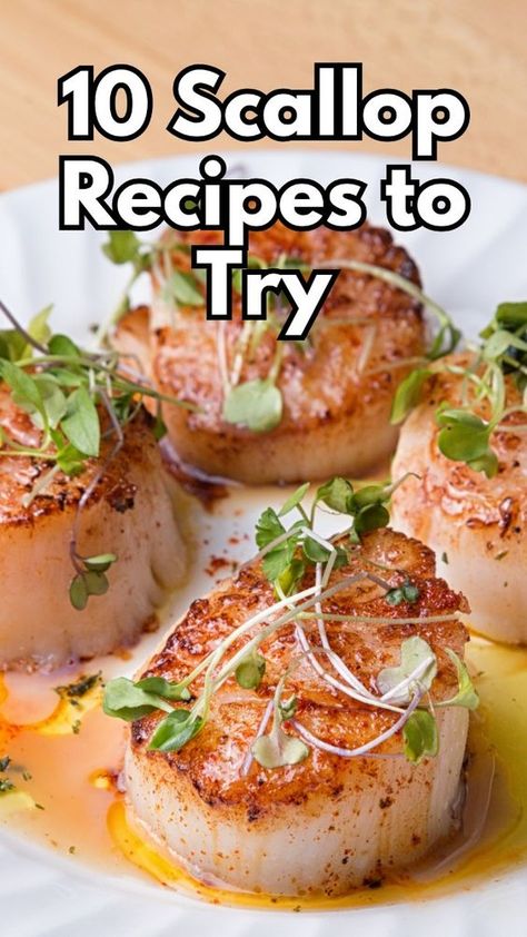 Uncover a variety of scallop recipes that elevate your home cooking. These delightful dishes highlight scallops' unique flavor and versatility, making them a great choice for any meal. Whether you're a seasoned chef or just starting out, you'll find inspiration for delicious seafood creations in this collection. #scalloprecipes #scallop Dishes With Scallops, French Scallop Recipes, Scallop Pieces Recipes, Scallop Stir Fry Recipes, Scallop Appetizer Recipes, Healthy Scallop Recipes, Scallops Dinner Ideas, Grilled Scallops Recipe, Best Scallop Recipe